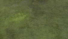 Pine Bough HAND DYED RUG HOOKING WOOL fat 1/8 yard  green Spotted Cur