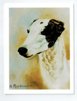 New Greyhound Head Study 6 Blank Note Cards Great For Birthdays Thank You