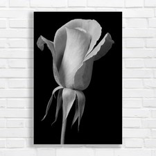 Improve Website Metadata For Better Seo Results Black White Canvas Print Large