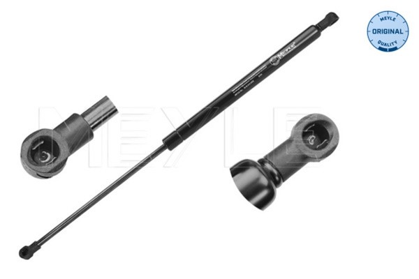 Heckklappen DäMpfer Gasfeder Kofferraum Meyle 16-40 910 0032 FüR Renault Laguna-image
