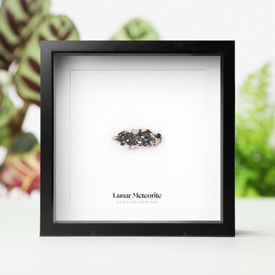 Gerahmte echte Mondmeteoritenscheibe - poliertes Mondgestein Display Geschenk