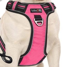 tobeDRI No Pull Dog Harness Adjustable Reflective Oxford Easy Control Medium Lar