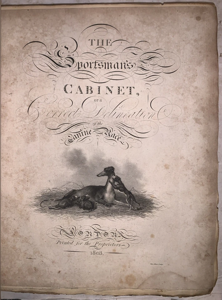 1803, 1st, 2 Vol, THE SPORTSMAN'S CABINET, DOG BREEDS AND FIELD SPORTS, w PLATES - Image 4 of 4