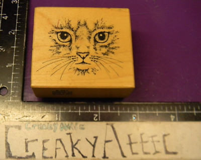 PSX E-951 KITTY CAT FACE CLSE UP RUBBER STAMP CREAKYATTIC
