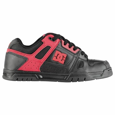 dc stag trainers