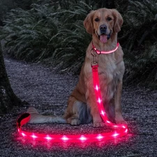 4 Ft Hotpink USB Rechargeable LED Light Up Dog Leash Reflective Pet Leash