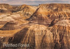ETATS UNIS PETRIFIED FOREST PETRIFIED FOREST NATIONAL PARK