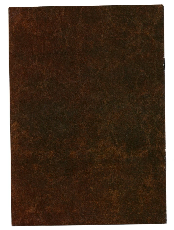 Disney Villains Clue Juego de Mesa Pieza de Repuesto MANUAL DE INSTRUCCIONES Foto 2 de 2