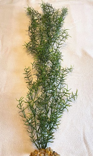 26” XL THICK Cover DITI-Sprengeri plastic plant, stone base - Picture 4 of 4