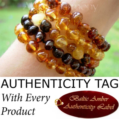 Authentic BALTIC AMBER ADULT BRACELETS natural health AGbA® Certified
