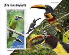 TOUCANS Toucan Tropical Birds/Bird MNH 1v-Stamp Sheet #2017 2022 Central Africa