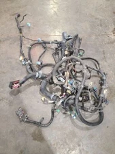 SIEDENALI 2010 Engine Wire Harness 613216