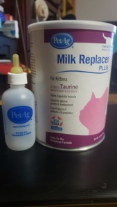 PetAg Milk Replacer Plus for Kittens Contains Taurine ...