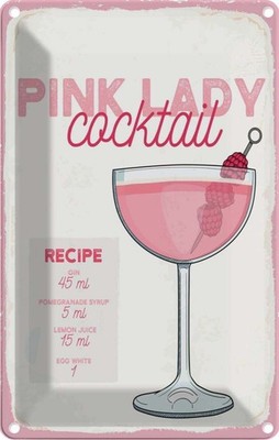 Blechschild 18x12 cm Pink Lady Cocktail Recipe Deko Geschenk Metall Schild