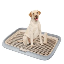 Large 23.6"x17.7" Dog Potty Tray, Indoor Pet Pee Pad Holder with Mesh Floor,B...