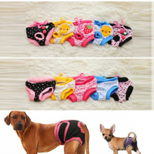 Pet Female Small Girl Dog Physiological Pants Diaper Dog Shorts Panties Briefs +