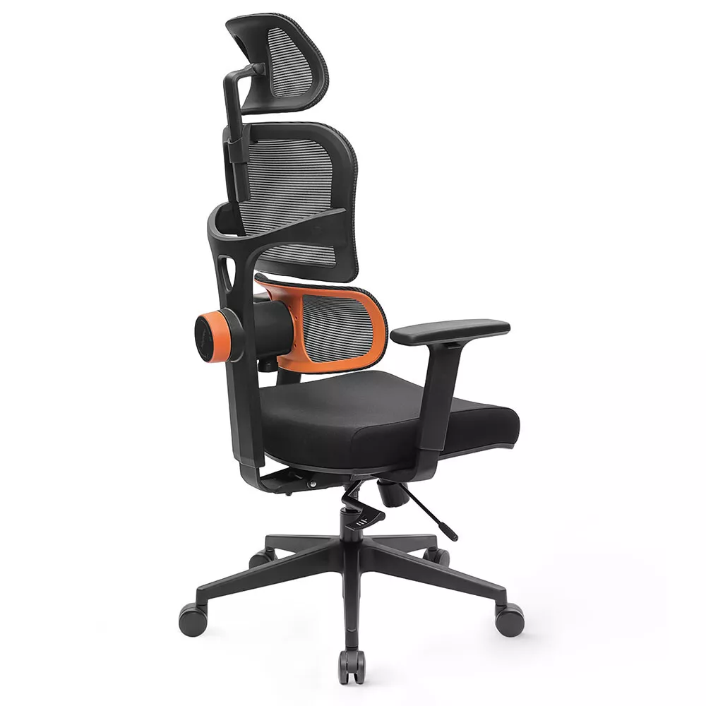 Ergonomic Office Chair High Back Tiltable Lumbar Support with