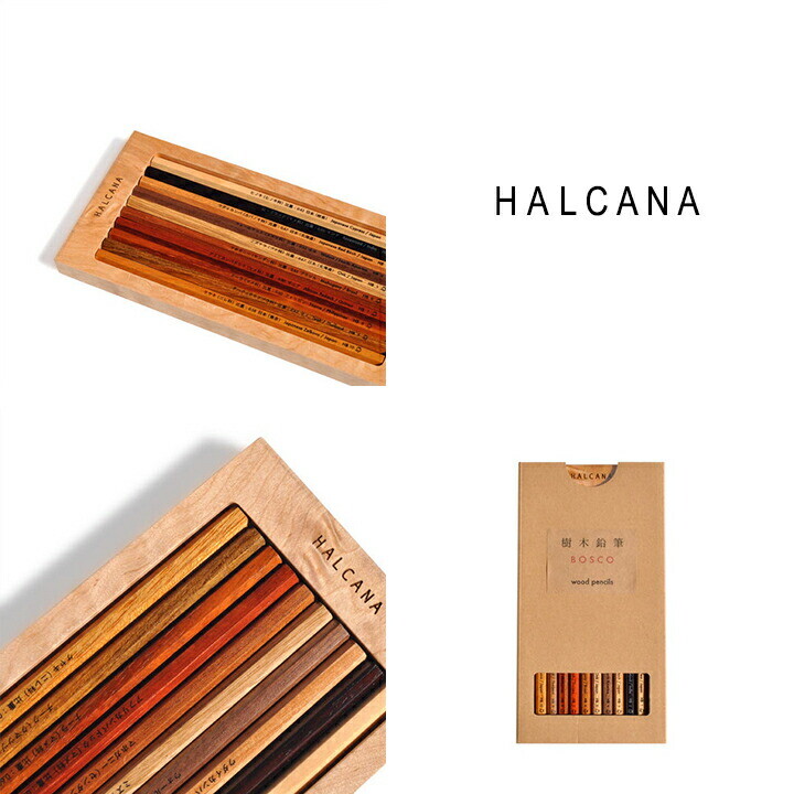 BOSCO Wood Pencil Gallery Shigeki Miyamoto 10 Pencils HB High