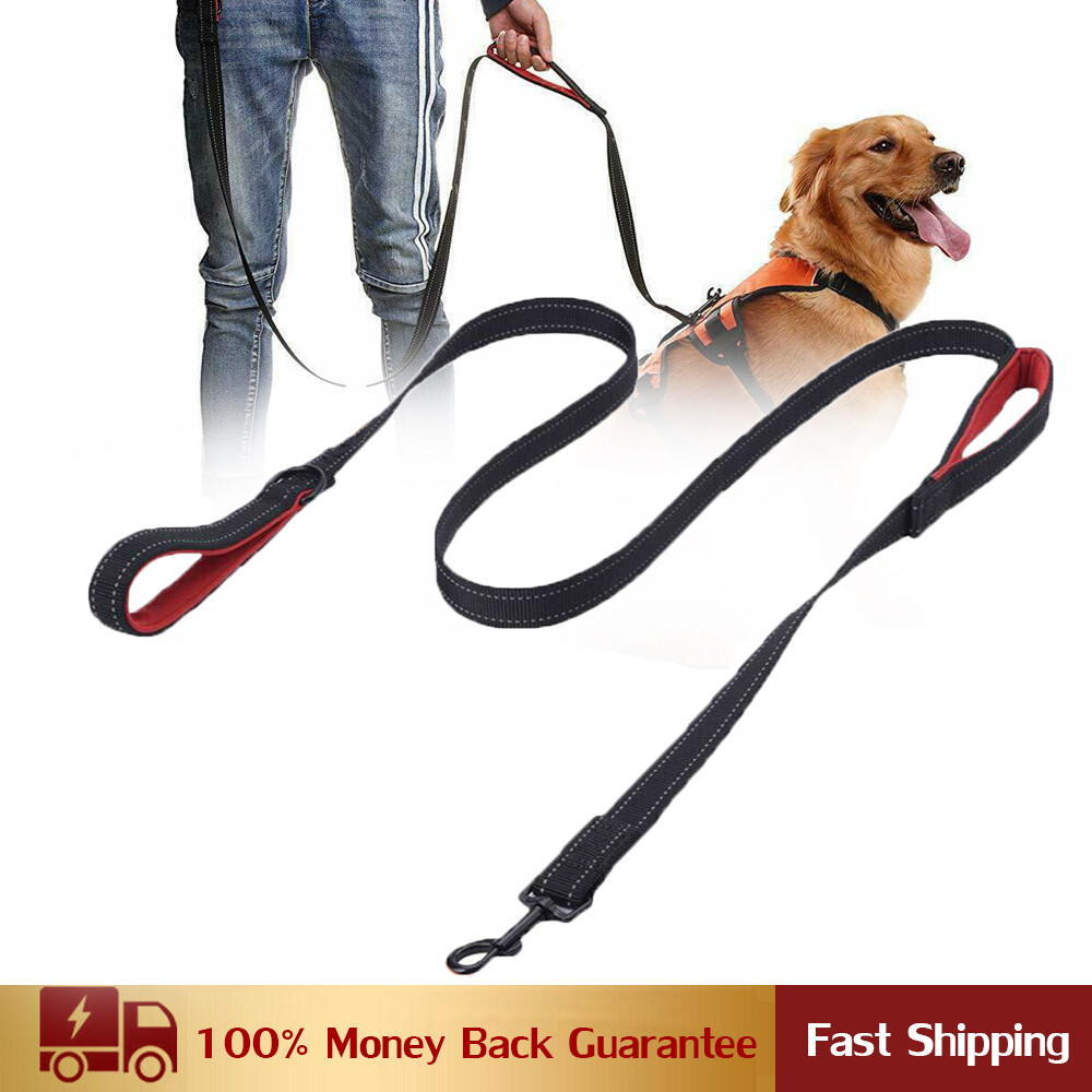 best double handle dog leash