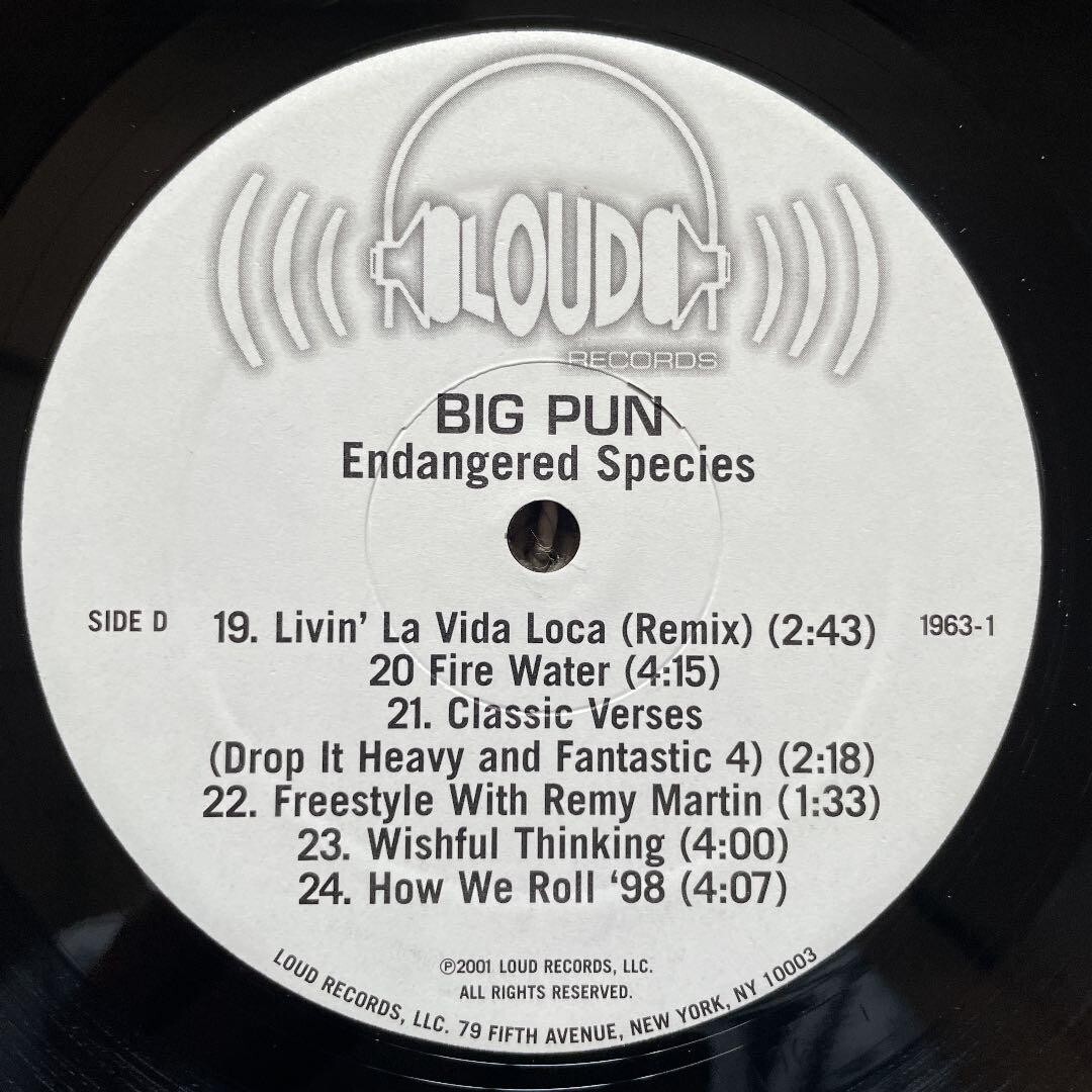 Big Pun / Endangered Species 12