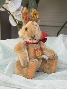 Steiff Niki | eBay