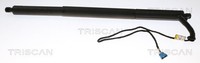 Gasfeder, KOFFER-/LADERAUM FÜR BMW X3 (F25) - Triscan 8710 11306