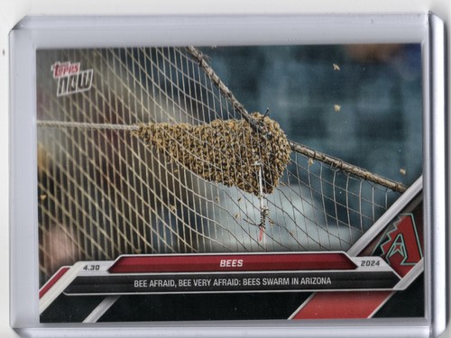 2024 Topps Now 145BEE Savannah Bananas Bees