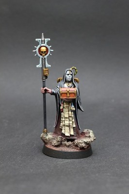 Sanctifiers Kill Team Salvationist [Pro Painted] Warhammer 40k