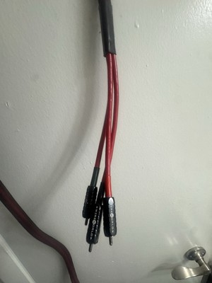 Wireworld Starlight 6 OCC Silver Coaxial Digital 12ft Triple RCA Cable Mint