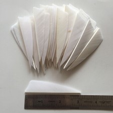 50PCS 3inch White Shield Archery Fletches Fletching Arrow Feathers RW LW