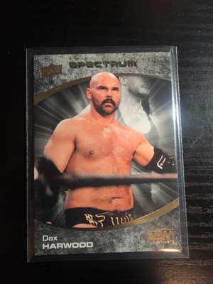 Scott Dawson Dax Harwood 2021 Upper Deck AEW Spectrum Dark Parallel #66 /99 (JB)