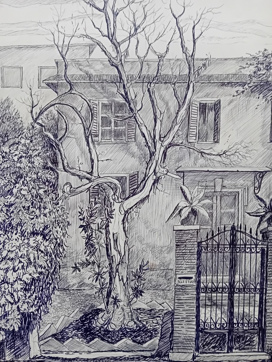 Saverio Scutellà L'albero dei limoni 1987 Disegno Firmato 50x34,8