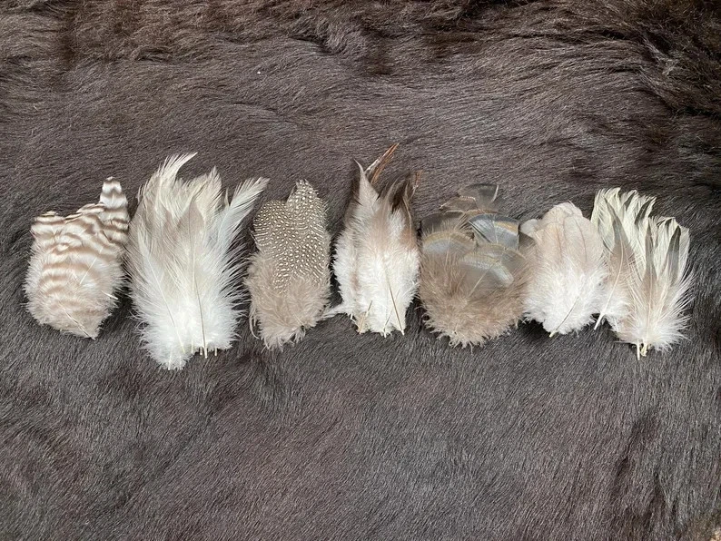 70er Federmix, 5-12cm, 7 Sorten, Bastelfedermix aus artgerechter Haltung, bunte - Bild 4 von 4