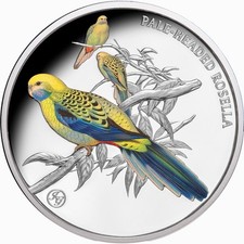 Niue 2026 PALE HEADED ROSELLA John Gould Birds Australia $1 Oz Pure Silver Color