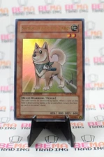 Shiba-Warrior Taro YAP1-EN008 Anniversary Pack Limited Edition