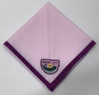 2025 World Scout Moot (World Rover Jamboree) HONG KONG SCOUTS CONTINGENT SCARF