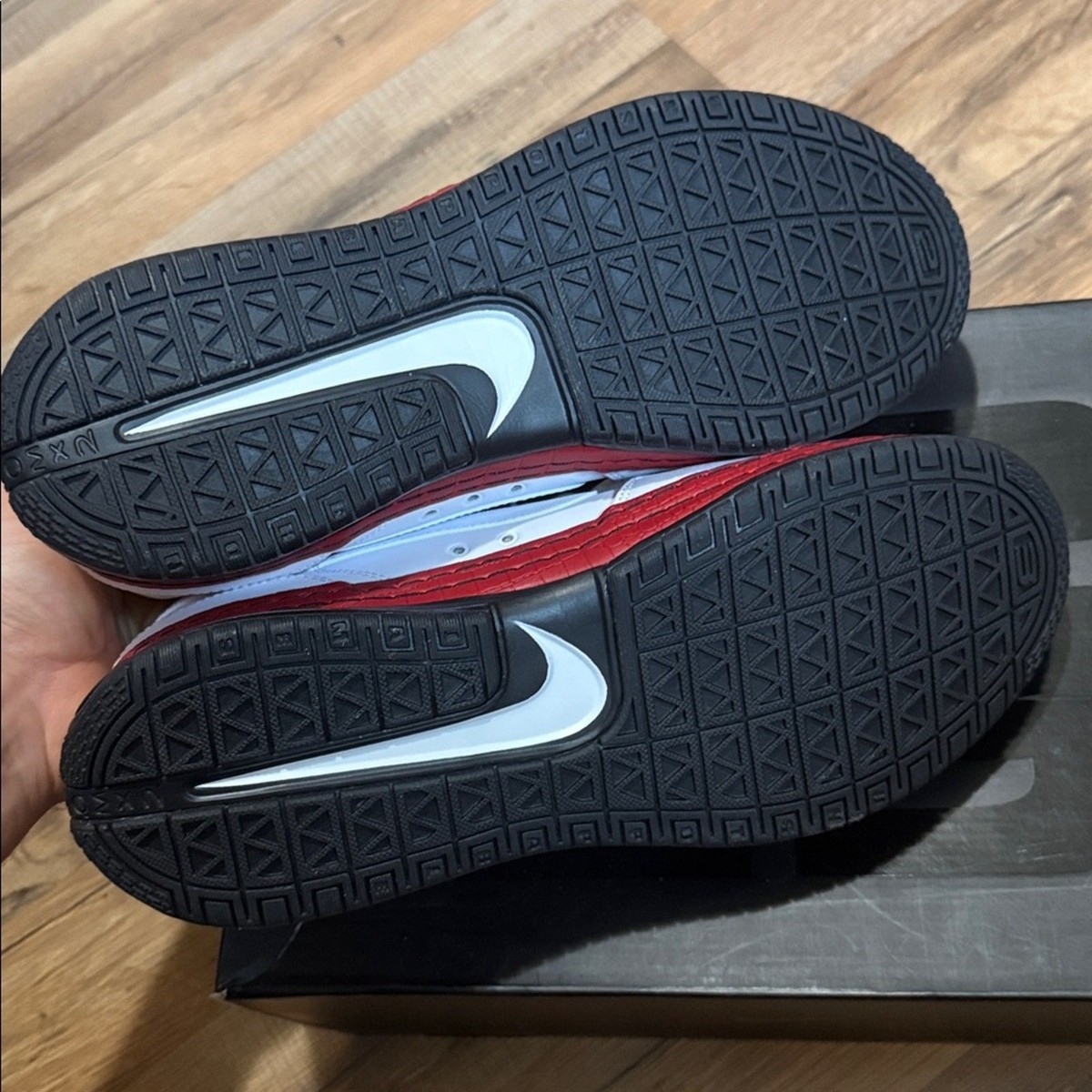 2009 Nike LeBron 6 Low 