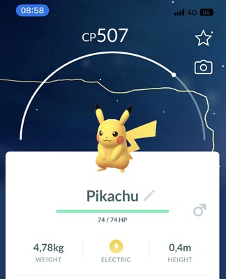 10x Pikachu Pokemon Gen1 GO Pokémon Not Shiny Lucky Chance
