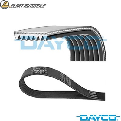 V-RIBBED BELT 7PK1690HD FOR DAF XF105/CF85 MX340/300/375/265 12.9L 6cyl CF 85