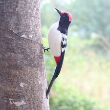 Simulation Woodpecker Model Woodpecker Ornament Realistic Art Cute Decoration