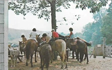 Vintage New Hampshire Chrome Postcard Keene Circle C Trails Horse Riders