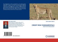 John Chibaya Mbuya | Credit Risk Fundamentals | Taschenbuch | Englisch (2010)