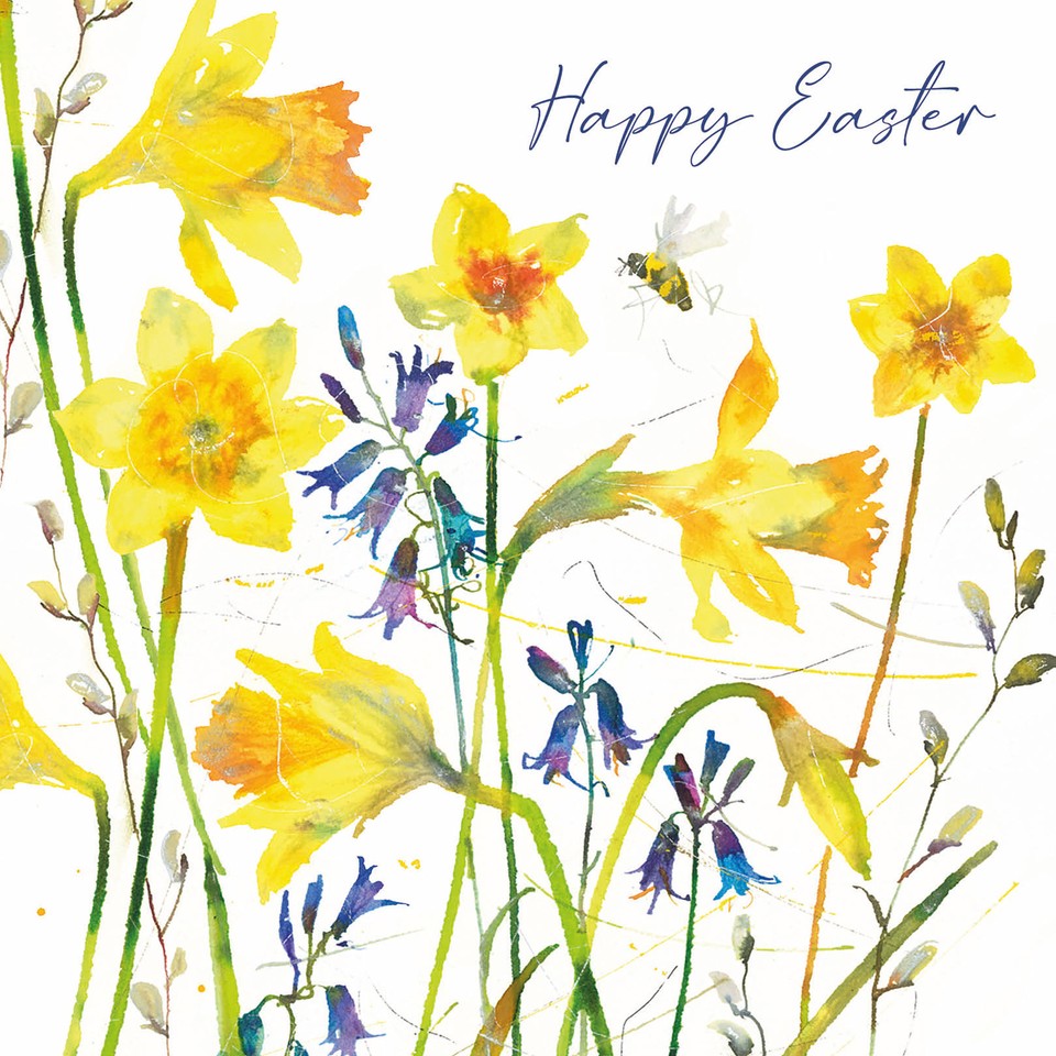 Easter Card Pack - Painted Daffodils | eBay UK