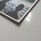 Foto 5 di 6