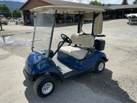 2016 Yamaha Golf Cart