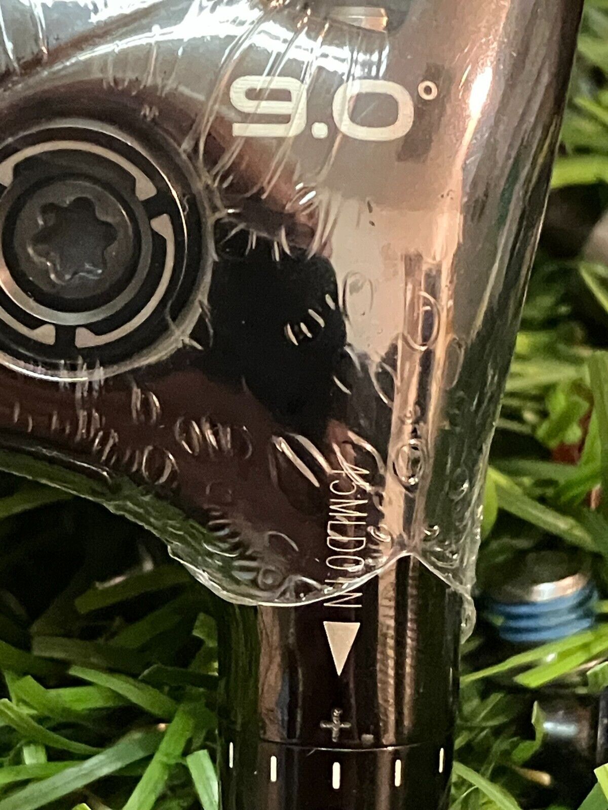 Picture 5 of 6