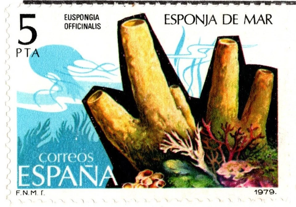 ESPAÑA 1979 FAUNA, VIDA MARINA CINCO SELLOS PRE ESTAMPADOS CUBIERTA SCOTT 2158-2162 COMO NUEVO Foto 2 de 4