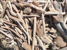 250 Small Driftwood Pieces: 4-8" Hand-Gathered Northern California assorted pcs