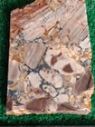 Rough Slab Dead Camel Jasper 140g. 5/16" Thick Lapidary Cabbing #BB-1 — photo 3