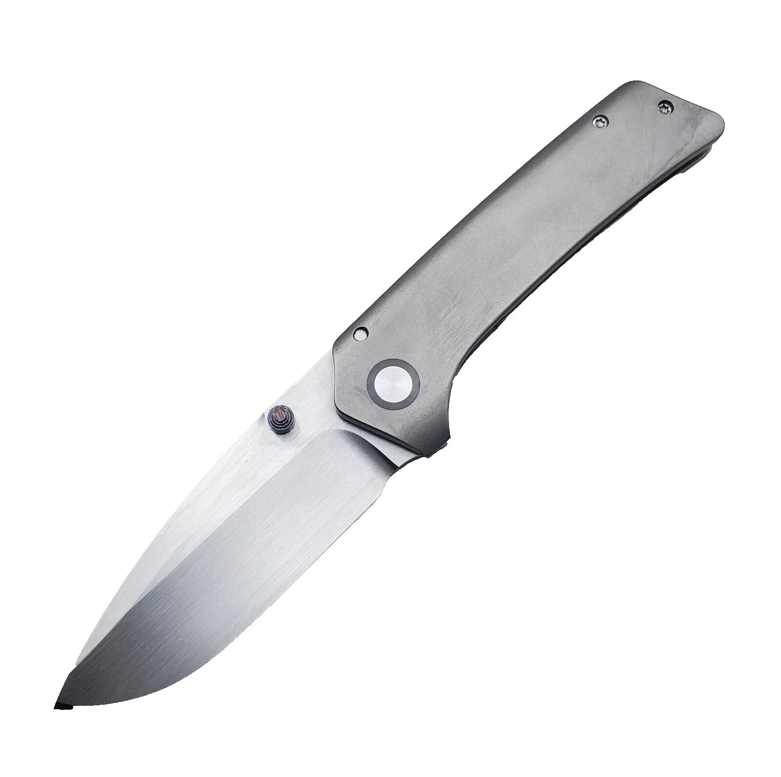 Titanium Handle Right-Handed Collectible Fixed Blade Knives